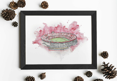 Cuadro Cancha de River - 34x44