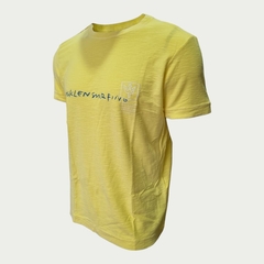 Camiseta Surfing - Osklen na internet