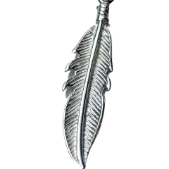 Dije Pluma en internet
