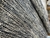 Tapete Kilin Misturinha Azul Marinho - 150x100cm - comprar online