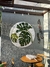 Mandala Ladrilhos Plantas