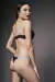 TANGALESS REVOLUTION 114-134 - tienda online