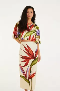 SAIA MIDI FARM na internet