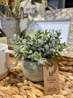 PLANTA HOYA EN MACETA GRIS / LAS LILAS HOME - comprar online