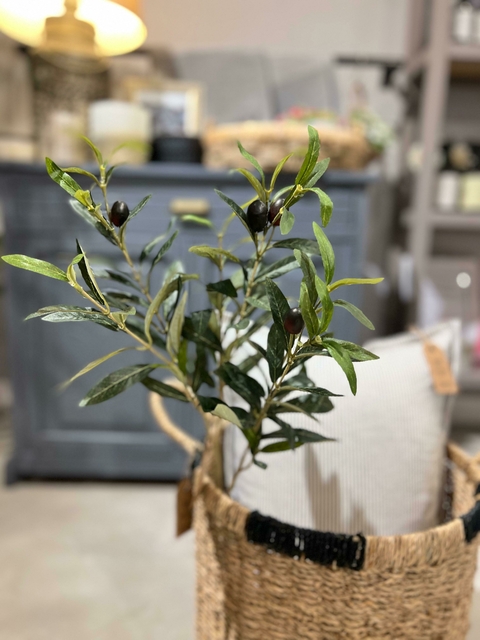 RAMA OLIVO / LAS LILAS HOME - comprar online