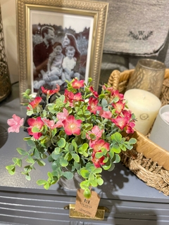 WILD ROSA EN MACETA LATA / LAS LILAS HOME en internet
