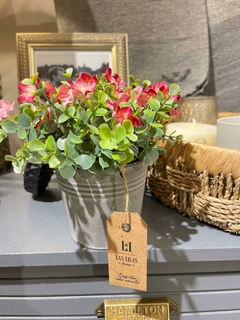 WILD ROSA EN MACETA LATA / LAS LILAS HOME - comprar online