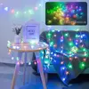 CORDAO 60 LEDS FIO DE FADA PVC ESTRELINHAS RGB 10M