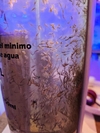 Artemia adulta alimentada con fitoplankton