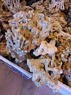 Roca natural Indonesia seca x peso - comprar online