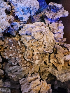 Imagen de Roca natural Indonesia seca x peso