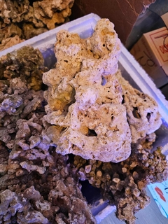 Roca natural Indonesia seca x peso