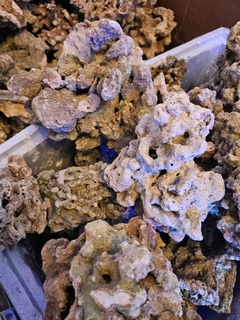 Roca natural Indonesia seca x peso (curada)