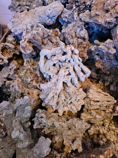 Roca natural Indonesia seca x peso en internet