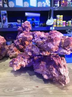 Aquaforest Roca violeta