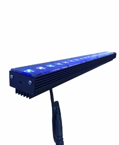 Barral Blue Spectrum
