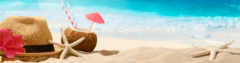 Banner da categoria Chamise
