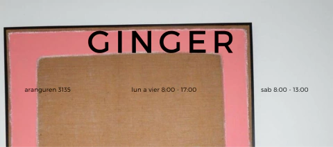 Carrusel GINGER AV