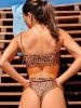 BOMBACHA AFRICA FEVER - comprar online