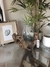 Planta Bamboo - House Interiors