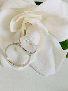 Anillo october en internet