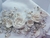 Arranjo Flor - buy online
