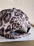 GORRA GAMUZADA GRIS PRINT - Dakota