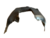 Guardaplast delantero Chevrolet Corsa 94/99 IZQ (ORIGINAL) -- - comprar online