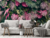 TROPICAL N° 47 - comprar online