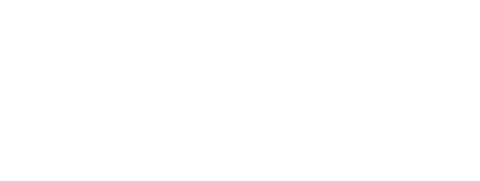 LM vinilos