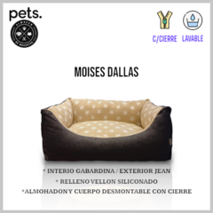 MOISES DALLAS 65 X45 SENIOR JACK - comprar online