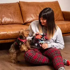 Imagen de CUERDA DENTAL PERRO MINNIE