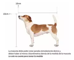 TRANSPORTADORA BRACCO TRAVEL N°1 Y N°3 - pets