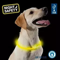 COLLAR LUMINOSO K-NITE AFP - pets