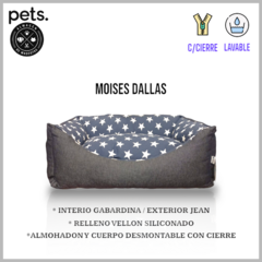 MOISES DALLAS 65 X45 SENIOR JACK - comprar online