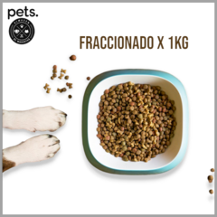 ROYAL CANIN MINI ADULTO - comprar online
