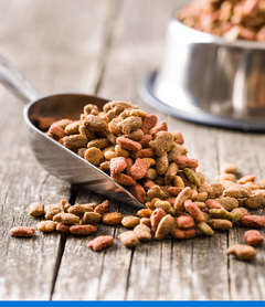 ALIMENTO VITAL CAN COMPLETE ADULTO en internet