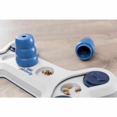 JUEGO INTERECRACTIVO FLIP BONE en internet