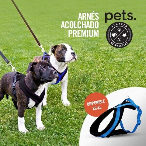Arnes Premium