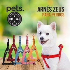 Arnes Zeus