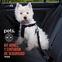 KIT ARNES Y CINTURON DE SEGURIDAD TALLE S - M - L