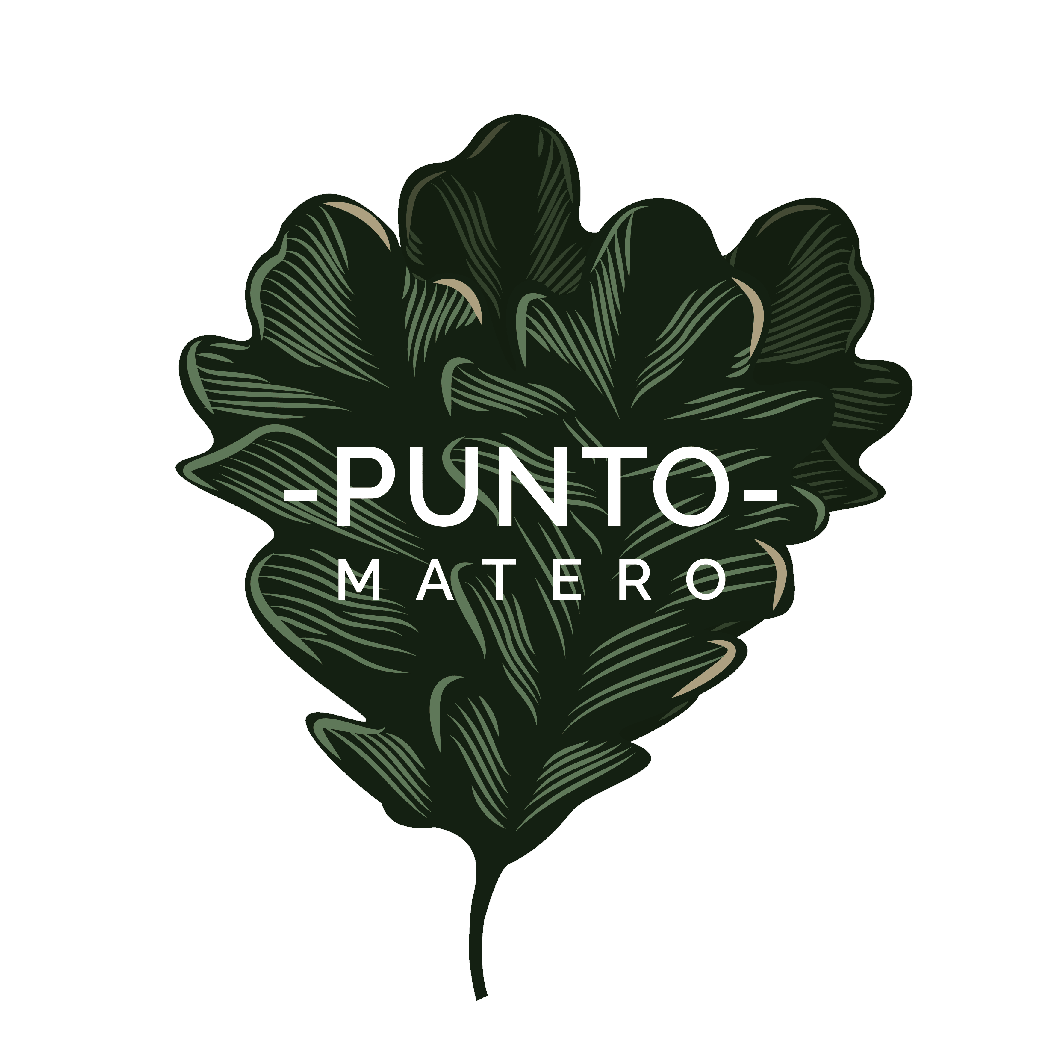 Punto Matero