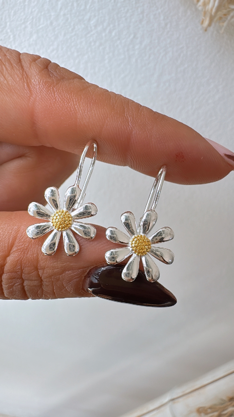 Aros Deby - comprar online