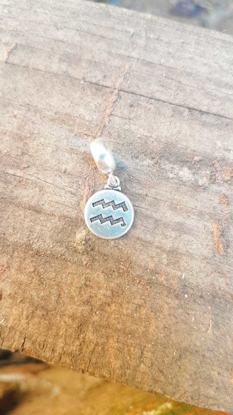berloque signo aquario em prata 925