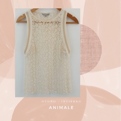 Blusa De Encaje Importada. Animale