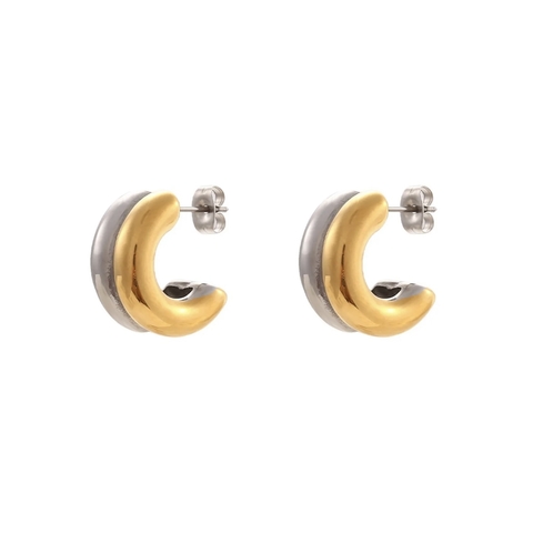 Aretes bicolor