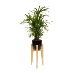 Planta con Maceta y Soporte - comprar online