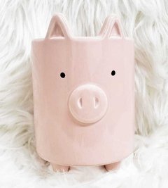 Maceta en forma de cerdito