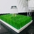 Imagen de Escurre Platos pasto XL