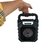 Parlante FJ-668 portátil negro - comprar online